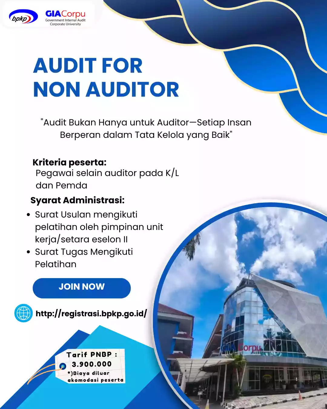 Audit for Non Auditor